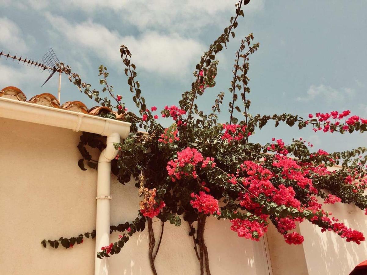 Lovely Apartment Old Town Dénia Exterior foto